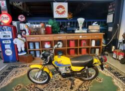 1981 Honda Xl50e VK8696 | Transport | Bromfiets / Motor