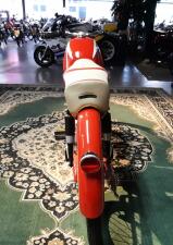 Motori Paglianti 48cc