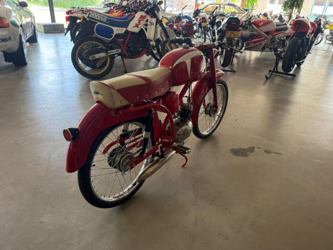 Motori Paglianti 48cc LT553 | Transport | Auto's