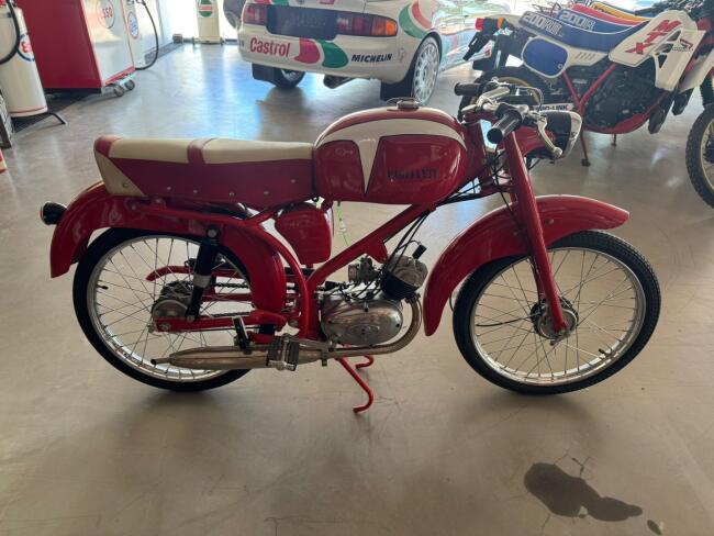 Motori Paglianti 48cc LT553 | Transport | Auto's