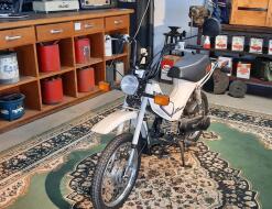 1982 Honda PX50 VT495 | Transport | Bromfiets / Motor