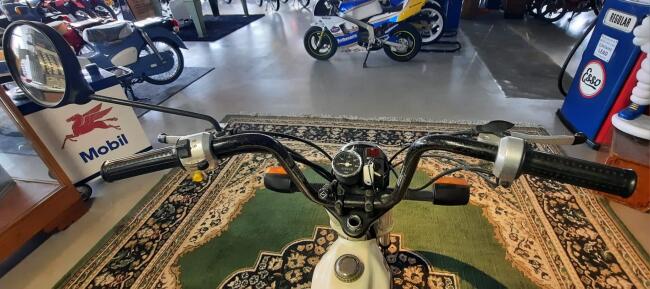 1982 Honda PX50 VT495 | Transport | Bromfiets / Motor