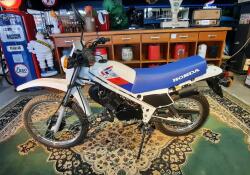 1987 Honda MT50 Wit Blauw VT499 | Transport | Bromfiets / Motor