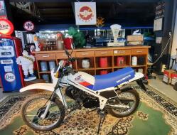 1987 Honda MT50 Wit Blauw VT499 | Transport | Bromfiets / Motor
