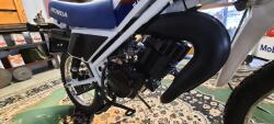 1987 Honda MT50 Wit Blauw VT499 | Transport | Bromfiets / Motor