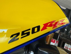 1990 Honda CBR250RR VT579 | Transport | Motor/Quad