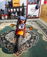 1985 Honda Monkey Z50J Brommer VK9882 | Transport | Bromfiets / Motor