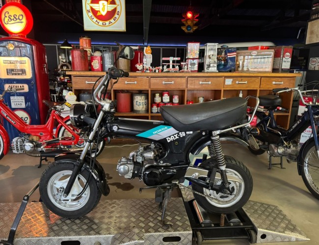 1991 Honda Dax 50 VT693 | Transport | Bromfiets / Motor