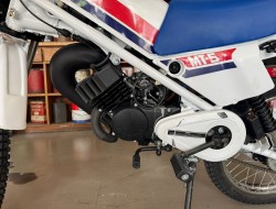 1979 Honda MT50 Wit Blauw VT774 | Transport | Bromfiets / Motor