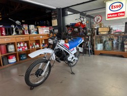 1979 Honda MT50 Wit Blauw VT774 | Transport | Bromfiets / Motor