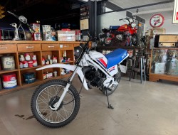 1979 Honda MT50 Wit Blauw VT774 | Transport | Bromfiets / Motor