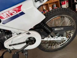1979 Honda MT50 Wit Blauw VT774 | Transport | Bromfiets / Motor
