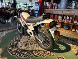 1980 Honda MT50 Wit Blauw VT774 | Transport | Bromfiets / Motor