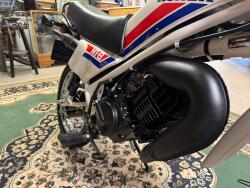 1981 Honda MT-8 Wit NOS KN202 | Transport | Bromfiets / Motor