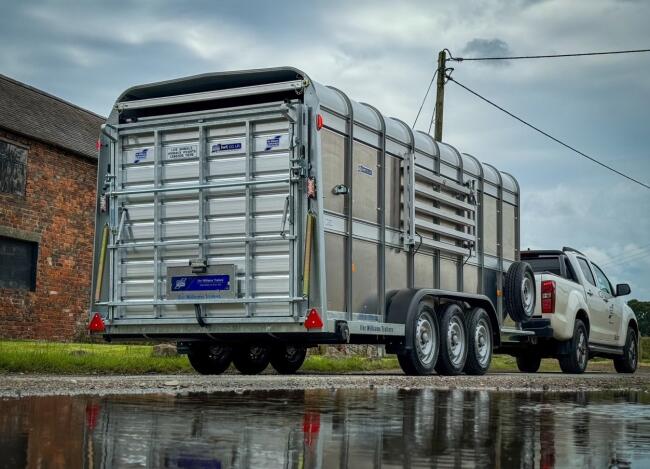 2026 Ifor Williams TA510 16x6 (497x178x182cm) Veetrailer 3-asser VT1020 | Aanhangwagen | Veetrailer
