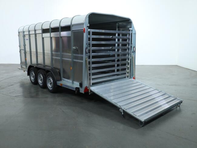 2026 Ifor Williams TA510 16x6 (497x178x182cm) Veetrailer 3-asser VT1020 | Aanhangwagen | Veetrailer