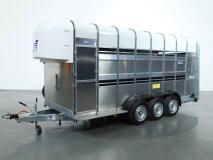 2026 Ifor Williams TA510 16x7 (497x178x212cm) Dubbeldeks Schapentrailer/ Veetrailer VT1087 | Aanhangwagen | Veetrailer